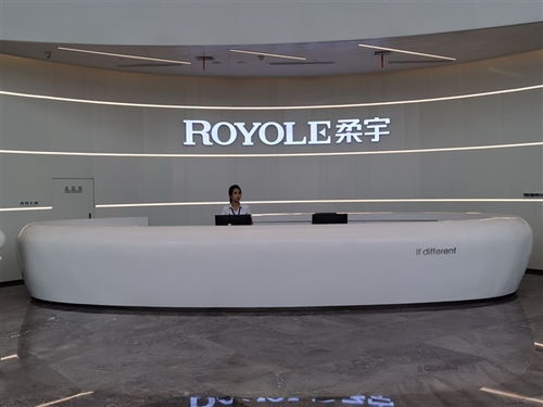 曾发布全球首款可折叠手机 柔宇科技被曝已6个月发不出工资